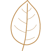 biodégradable jb artisan chocolatier