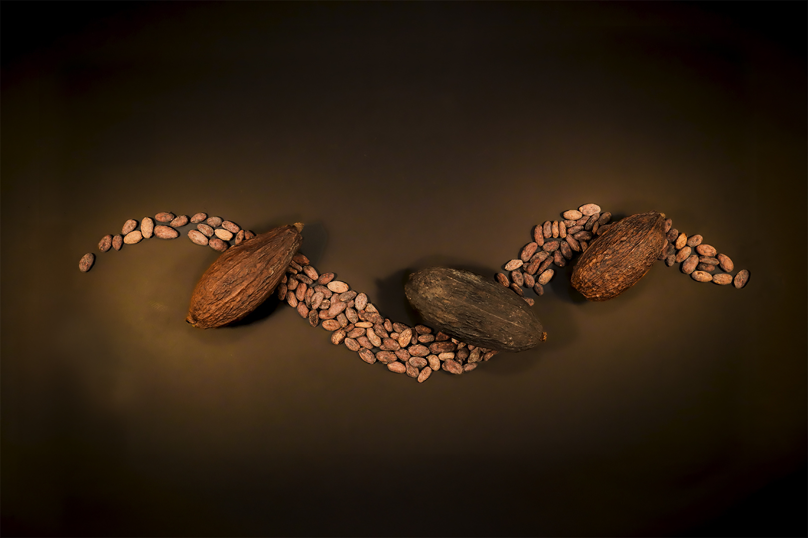 blog jb artisan chocolaterie