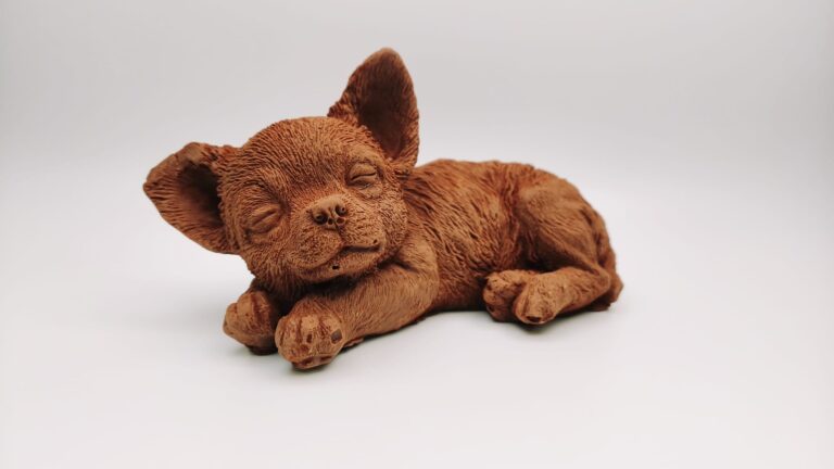 chihuahua jb artisan loches