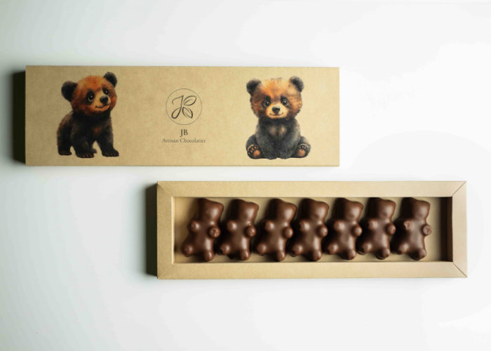 Image hover effect image